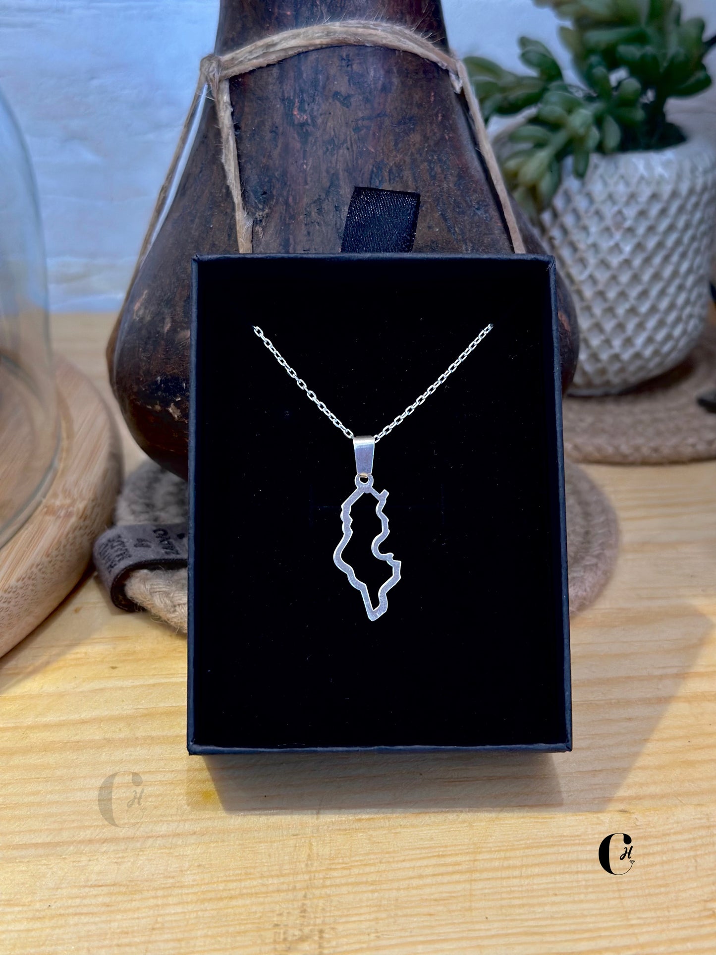 COLLIER EN ARGENT ✨